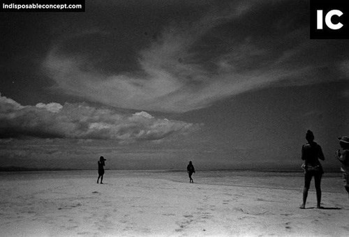 Hp5 plus disposable camera - plus,